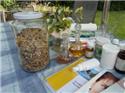 Veranstaltungsbild Naturkosmetik: Duschgel und Handcreme selbermachen (ab 11 Jahre)